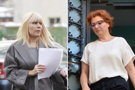 Curtea Suprema a amanat pentru a patra oara verdictul final in procesul in care sunt judecate Elena Udrea si Ioana Basescu