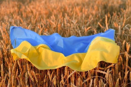 Statele vecine Ucrainei, inclusiv Romania, cer Comisiei Europene sa modifice si sa extinda interdictia importurilor de alimente din Ucraina – presa