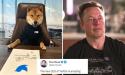 Elon Musk anunta ca se retrage din functia de directorul companiei Twitter