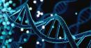 ADN-ul uman poate fi colectat din aer. Specialistii in materie de confidentialitate sunt ingrijorati