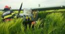 Incident <span style='background:#EDF514'>AVIATIC</span> in Ialomita. Un avion a aterizat fortat intr-un lan de grau - Pompierii intervin de urgenta