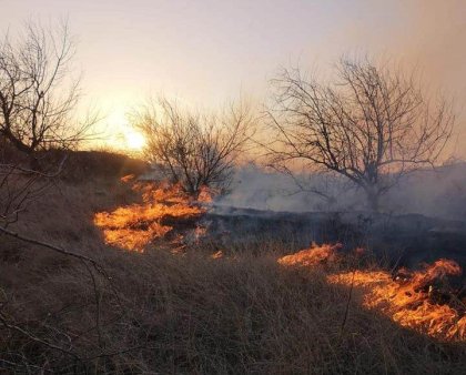 Peste 550 de persoane evacuate in Spania, in urma unui incendiu de padure in Extremadura