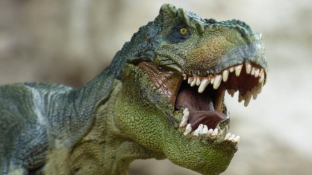 O noua specie de dinozaur carnivor, descoperita in Spania