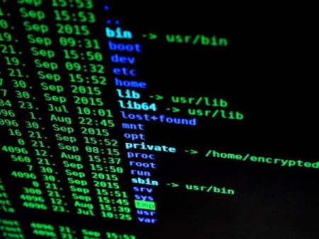<span style='background:#EDF514'>VEEAM</span>:  93% din atacurile cibernetice vizeaza mediile de stocare a backup-urilor de date