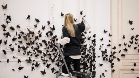 Muzeul National de Arta Contemporana lanseaza joi noul sezon expozitional. Instalatia vedeta: Black Cloud