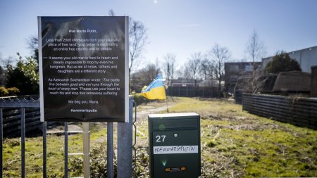 Procurorii olandezi au confiscat un teren detinut langa Amsterdam de fostul ginere al lui Vladimir Putin