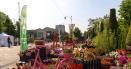 Sarbatoarea Florilor la Iasi. Centrul orasului, colorat de expozitia cu vanzare FOTO VIDEO
