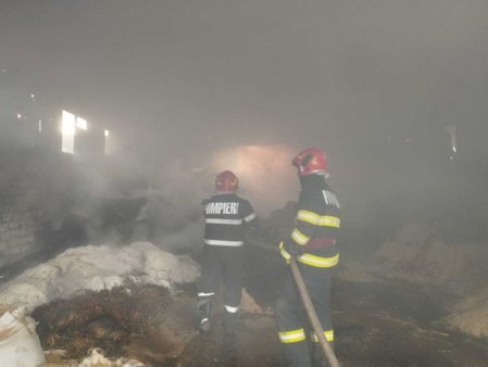 Incendiu puternic intr-o hala pentru depozitarea furajelor, la o ferma de pasari din Vaslui