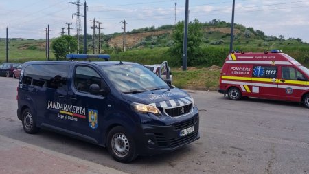 Alerta in Vaslui: Un urs s-a plimbat printre blocuri. Au intervenit jandarmii