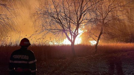 Stare de urgenta, din cauza unui incendiu de vegetatie in orasul Halifax 