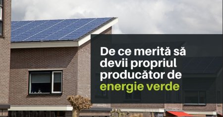 Panourile solare si independenta energetica: de ce merita sa devii propriul producator de energie verde