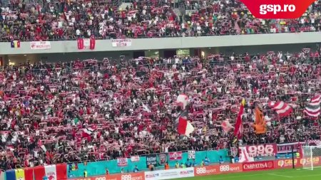 Dinamo - FC Arges / Peste 18.000 de suporteri dinamovisti fac spectacol pe Arena Nationala