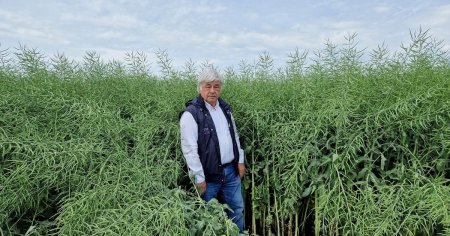Cum vede Dimitrie Musca, unul dintre cei mai importanti fermieri din Romania, iesirea din criza cerealelor