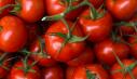 <span style='background:#EDF514'>SCANDAL</span>ul tomatelor toxice. A fost lansata o petitie publica pentru introducerea testarii legumelor in piete