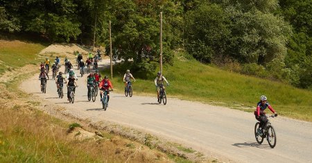 Surpriza de la turul Transilvaniei pe bicicleta: gulas din Sura de stepa. Rasa apare in Car cu boi  al lui Grigorescu