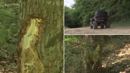 O femeie a murit, iar alta a fost grav ranita, dupa ce au intrat cu ATV-ul intr-un copac, la Gura <span style='background:#EDF514'>HUMORULUI</span>. Cele doua erau in team-building