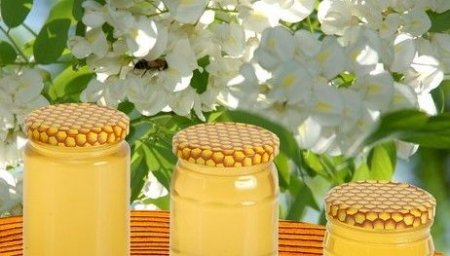 <span style='background:#EDF514'>APICULTORI</span>i cer taxa pe mierea din Ucraina