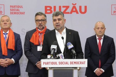 Oamenii lui Ciolacu. Conducerea PSD Buzau si partenerii lor de viata sunt angajati la stat in proportie de 92,3%. Media pe tara e 22%