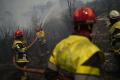 Uniunea Europeana pregateste trimiterea unor echipaje de pompieri in Canada