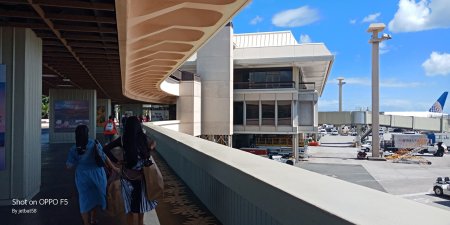 Aeroportul din Honolulu, paralizat de plosnite de aproape doua saptamani