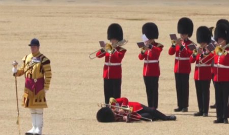 Garzi regale s-au prabusit de caldura in timpul unei parade pentru Printul William