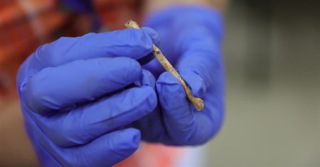 Descoperire uimitoare in Israel: fluier de acum 12.000 de ani care imita sunetele pasarilor si era folosit la vanatoare