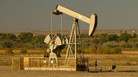 Cea mai mare descoperire de petrol, in Romania, din ultimele decenii | Zeci de milioane de barili, in Olt