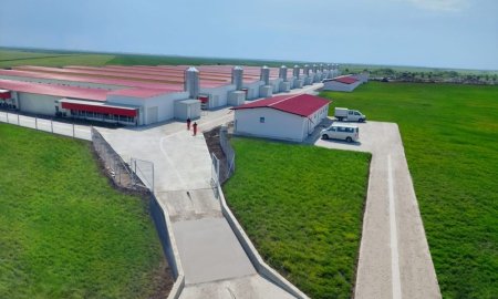 Grupul Carmistin, investitie de 8 milioane euro in cea mai mare si moderna ferma de crestere a pasarilor din judetul Olt