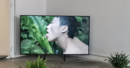 <span style='background:#EDF514'>EROTISM</span> si relatii intime cu plante. Instalatie controversata la Garnizoana din Timisoara VIDEO FOTO