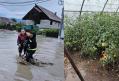 Vremea la extreme: In Dobrogea se coseste graul, in Oltenia – solariile stau sub apa