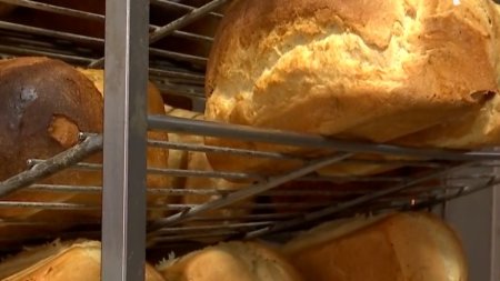 Cum se prepara pita de <span style='background:#EDF514'>PECICA</span>, painea preferata a lui Ceausescu. A devenit produs recunoscut la nivel european