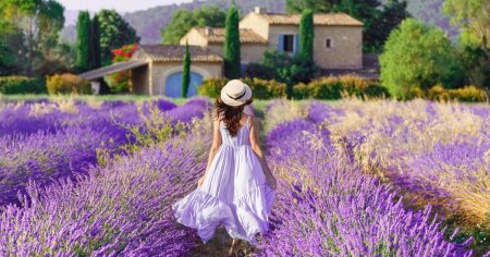 Provence, brand cu iz de lavanda. Locuri de poveste din Franta, inspiratie pentru <span style='background:#EDF514'>MARI PICTORI</span>