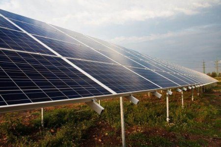 OMV Petrom anunta ca au fost semnate contractele pentru patru parcuri fotovoltaice pe care le va dezvolta cu CE Oltenia