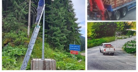 <span style='background:#EDF514'>BIG BROTHER</span> in padurile din Bihor: Directia Silvica a montat o camera programata sa urmareasca masinile cu lemne