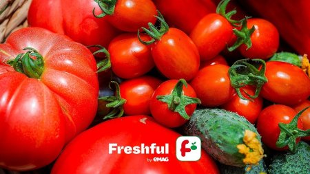 Hipermarketul online Freshful by eMAG anunta ca a vandut 700 de tone de fructe si legume anul acesta, de trei ori mai mult fata de 2022. 15% din bugetul alocat lunar pentru alimente este directionat catre fructe si legume