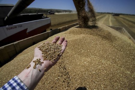 Planul Kievului de a transporta cereale dupa ce Rusia s-a retras din initiativa de la Marea Neagra: Prin apele teritoriale ale Romaniei si Bulgariei