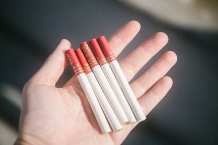Presa straina: Romania, cea mai afectata tara din UE de contrabanda cu tigari