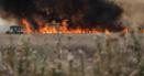 Incendiu de vegetatie uscata la Petrosani, in apropierea unui tren cu vagoane cisterna