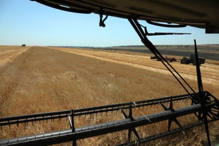 Romania propune Comisiei Europene prelungirea derogarilor cu privire la rotatia culturilor