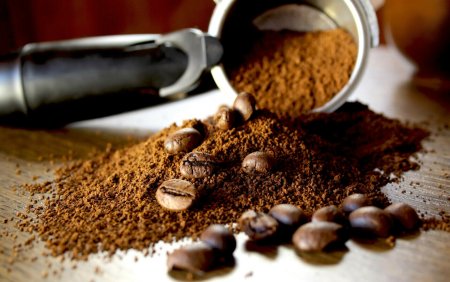 Cafeaua si <span style='background:#EDF514'>CACA</span>ua, produse interzise in Uniunea Europeana pentru a apara padurea. Legea a fost votata in Parlamentul European