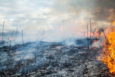 Atentionare de calatorie transmisa de MAE: Se mentine ridicat riscul de producere a incendiilor de vegetatie
