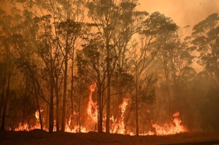 Noua atentionare MAE pentru Grecia: risc ridicat de producere a incendiilor de vegetatie