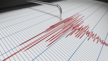 Cutremur de peste 4 grade in Vrancea