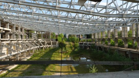 Natura a pus stapanire pe Micul Cernobil al Capitalei » De 10 ani, <span style='background:#EDF514'>PATINOARUL</span> Flamaropol ramane o enigma pentru primarii din Bucuresti