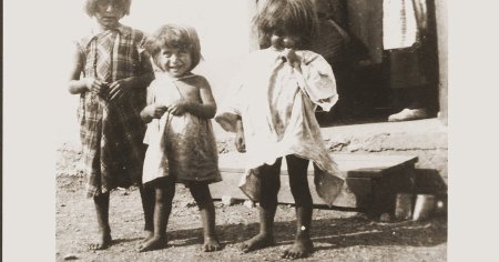 Holocaustul romilor: Sa fie rasi, <span style='background:#EDF514'>TUNS</span>i si sterilizati. Cu prima generatie, am scapa de ei