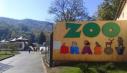 Iubitorii de animale se pot angaja la gradina zoologica