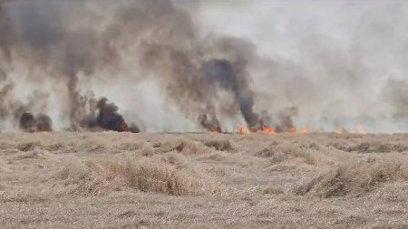 Zeci de hectare de teren agricol ard in Satu Mare. Mai multe autospeciale intervin