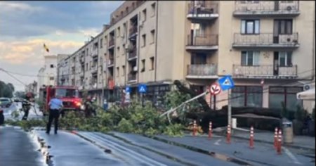 Mai multe <span style='background:#EDF514'>STRAZI BLOCATE</span> in Satu Mare, din cauza copacilor doborati de furtuna
