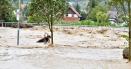 Slovenia cere ajutor din partea UE si NATO dupa inundatii si alunecari de teren VIDEO