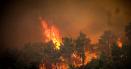 Incendiile <span style='background:#EDF514'>FORESTIER</span>e au mistuit in 6 ani un sfert din Attica, cea mai populata regiune din Grecia
